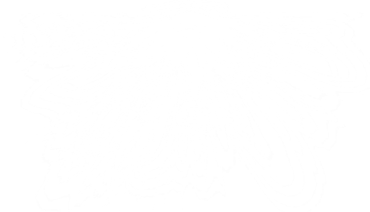 Shine PNG