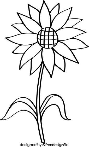 Black And White Flower PNG