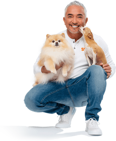 Cesar Millan PNG