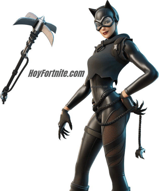 Fornite Catwoman Zero PNG