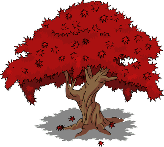 Japanese Maple Tree PNG