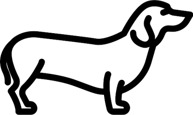 Dachshund PNG
