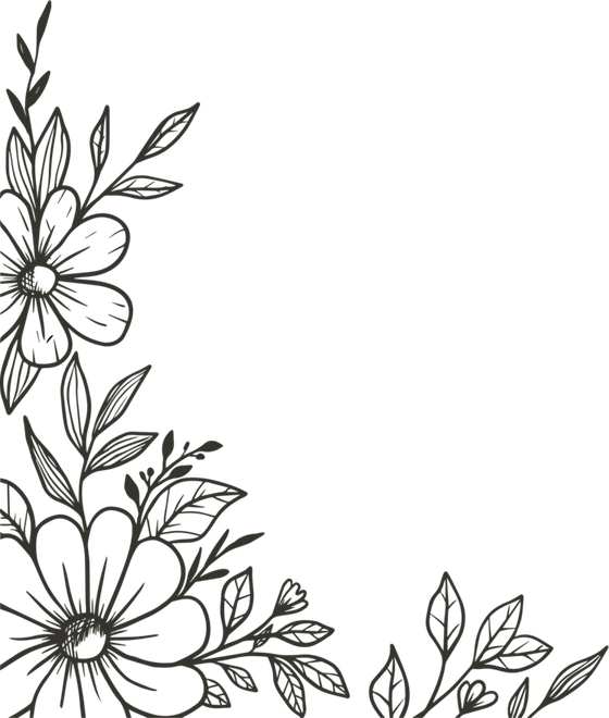Floral Outline Border PNG
