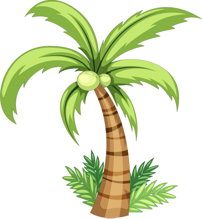Watercolor Palm Tree PNG