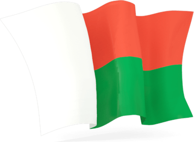 Madagascar Flag PNG