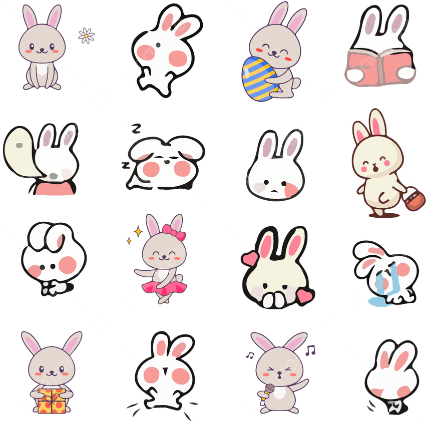 Cute Bunny PNG