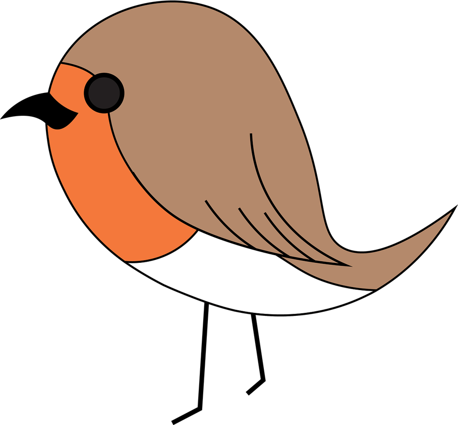 Robin Bird PNG