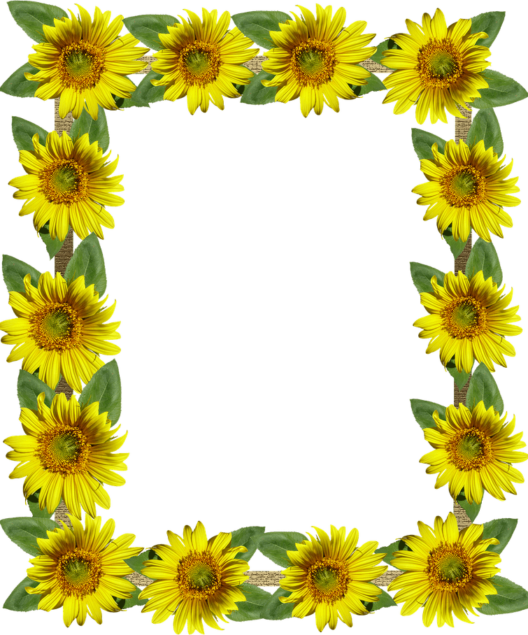 Sunflower Border PNG