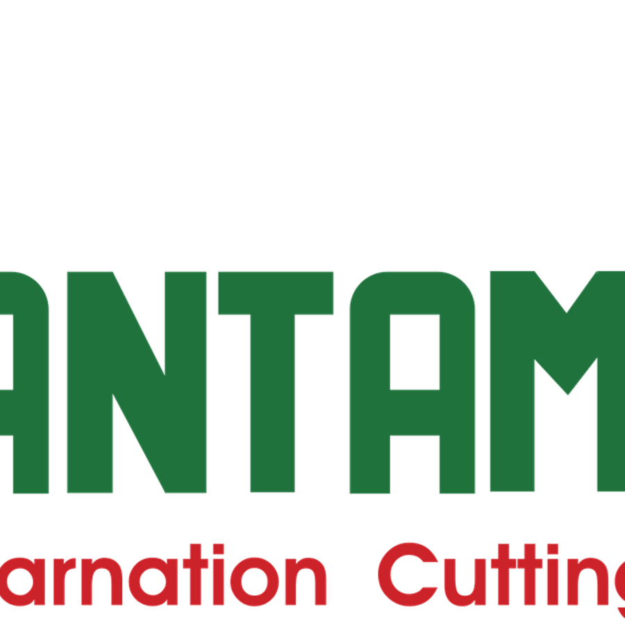 Santamaria PNG