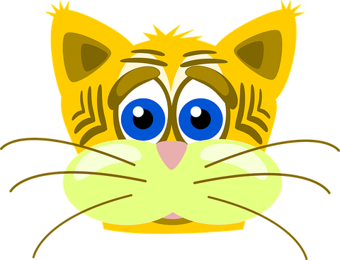 Sad Cat PNG