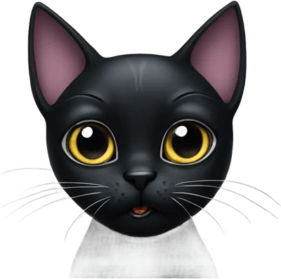 Gothic Cat PNG