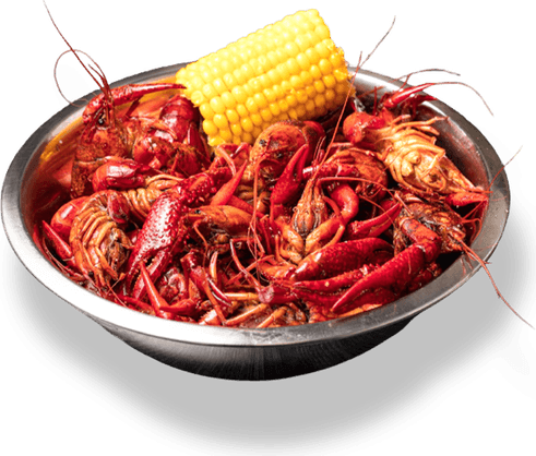 Crawfish PNG