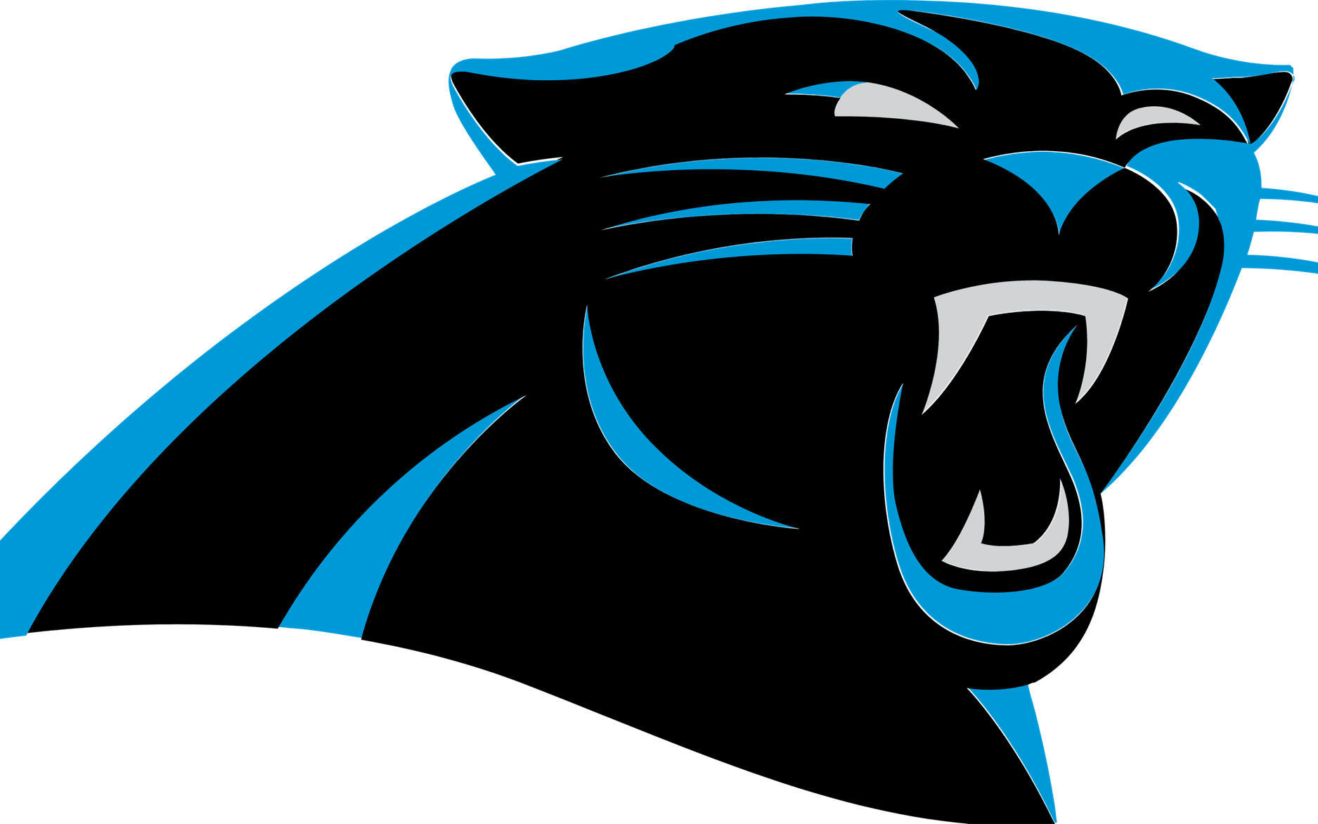 Carolina Panthers Logo PNG