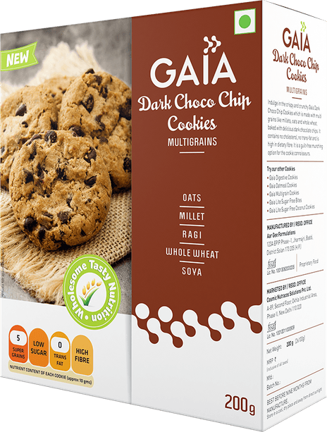 Chocolate Chip Cookie PNG