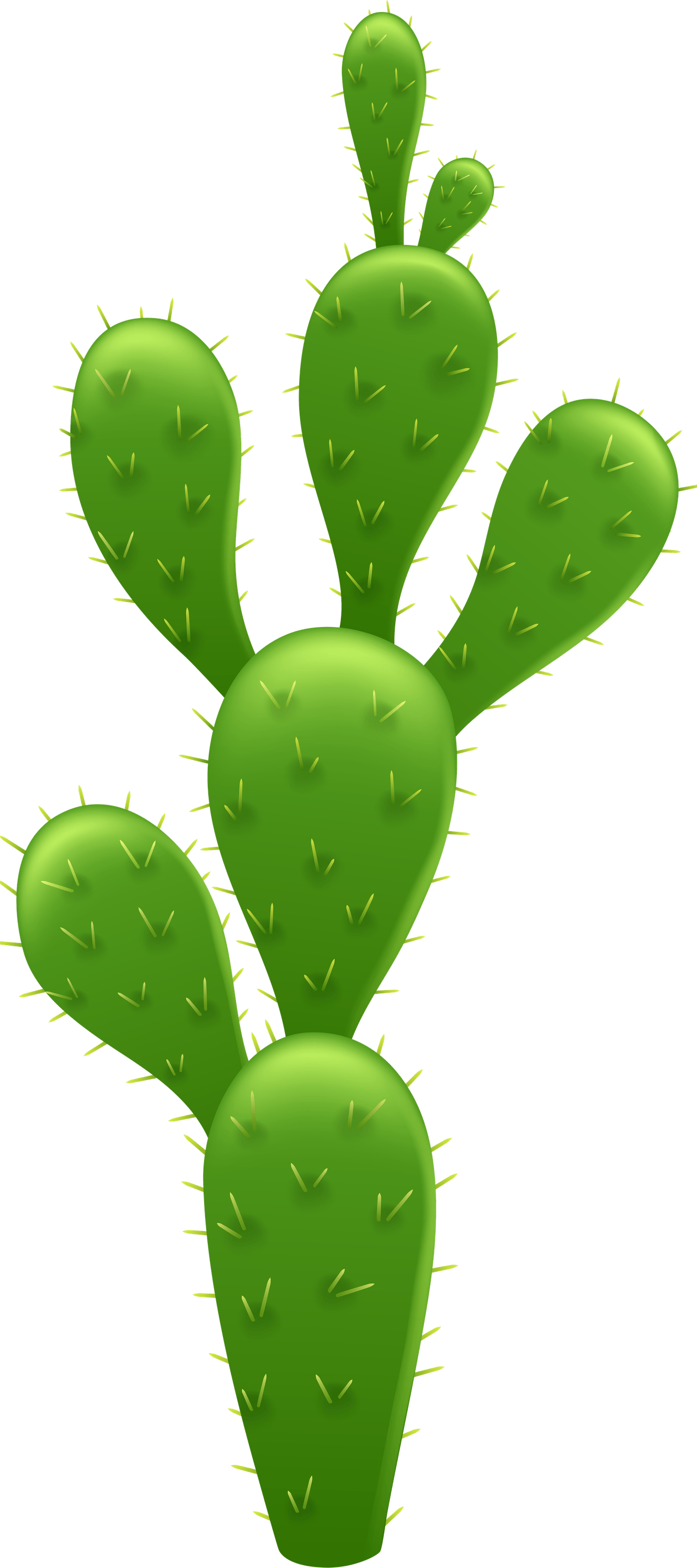 Cartoon Cactus PNG