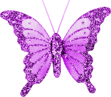 Glitter Butterfly PNG