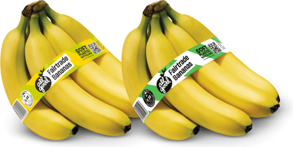 Banana With Tape PNG