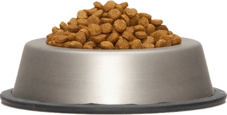 Dog Food PNG