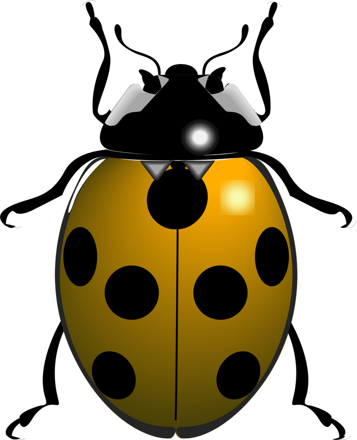 Ladybird PNG