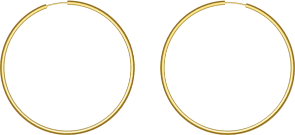 Hoop Earrings PNG