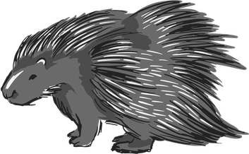 Porcupine PNG