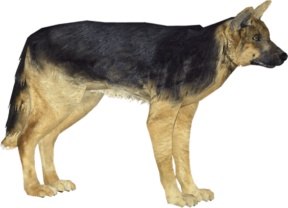 German Shepherd PNG