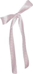 Coquette Bow PNG