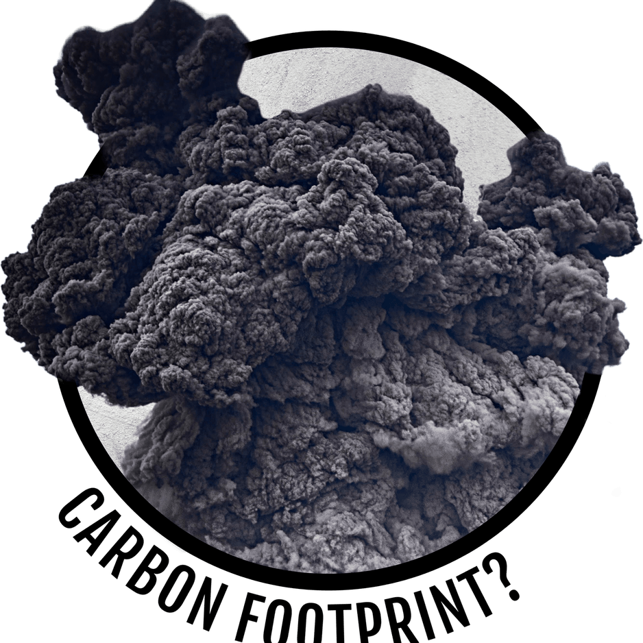 Ash Gourd PNG