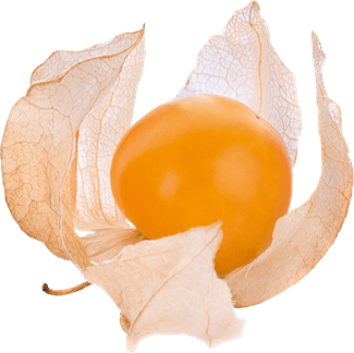 Cape Gooseberry PNG