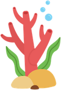 Algas PNG