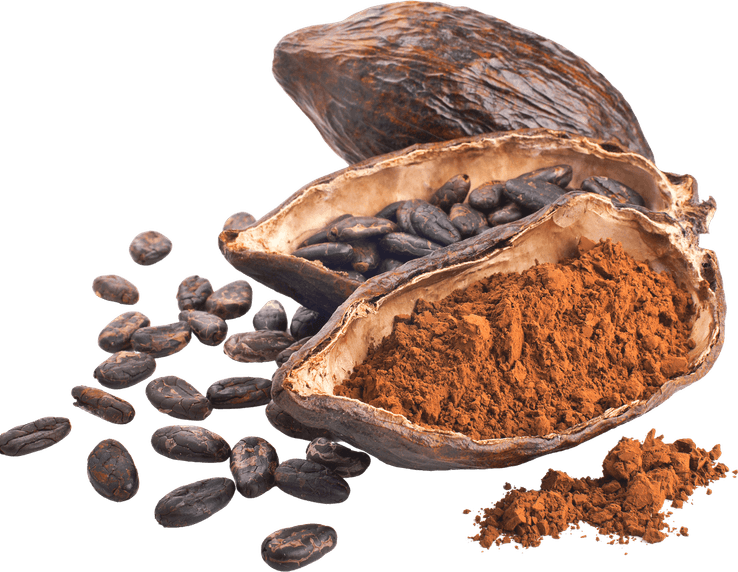 Chocolate Tree PNG