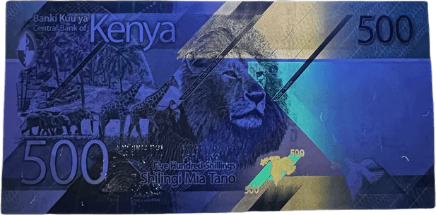Kenyan Money PNG