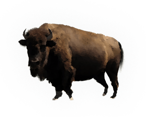 Bison PNG