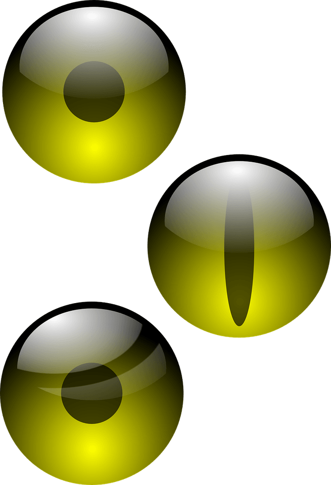 3d Eyeball PNG