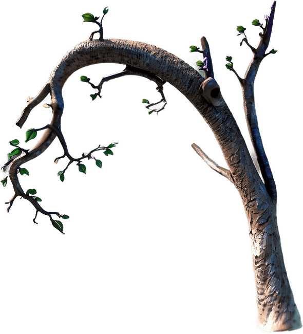 Fairytale Tree PNG