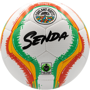 Oakland Roots Sc PNG