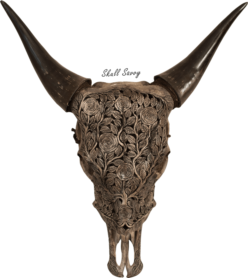 Bull Skull PNG