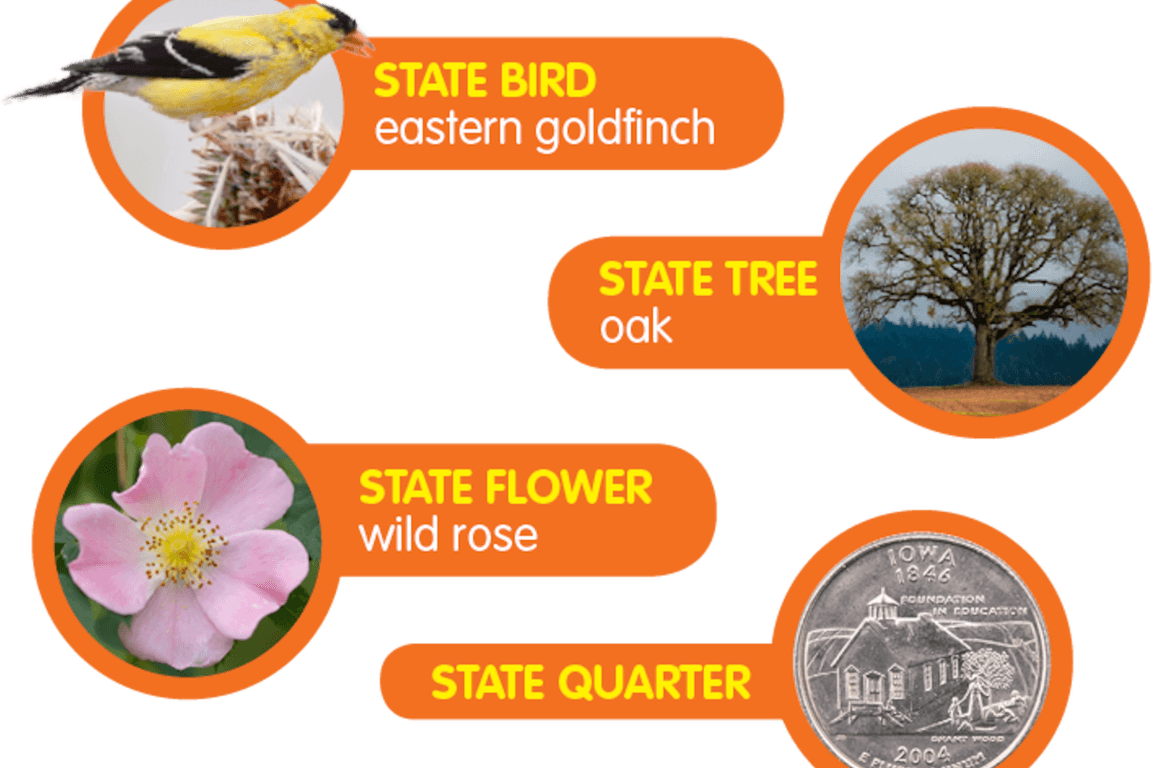 Interesting Facts About PNG
