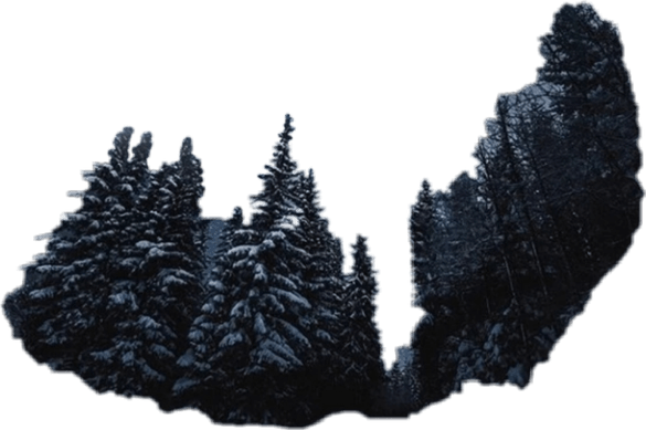 Picsart Forest PNG