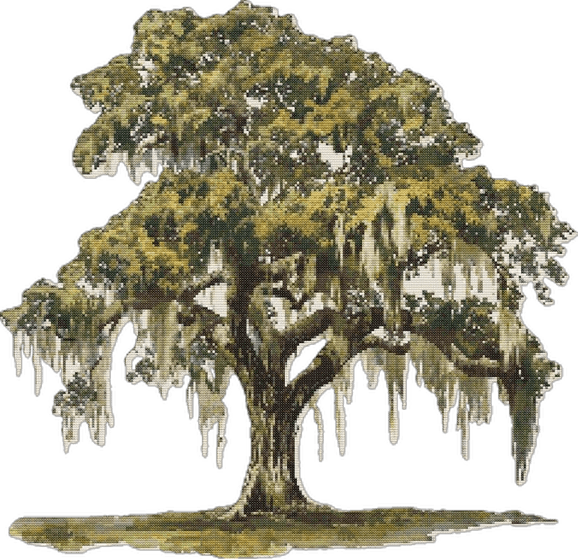 Spanish Moss Tree PNG