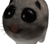Sad Hamster Big Eyes PNG