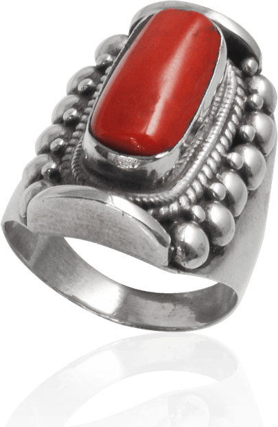 Red Coral PNG