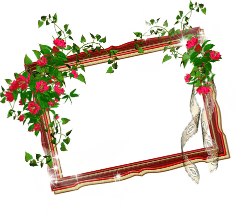 Wedding Album Design Flower PNG