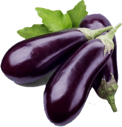 Eggplant PNG