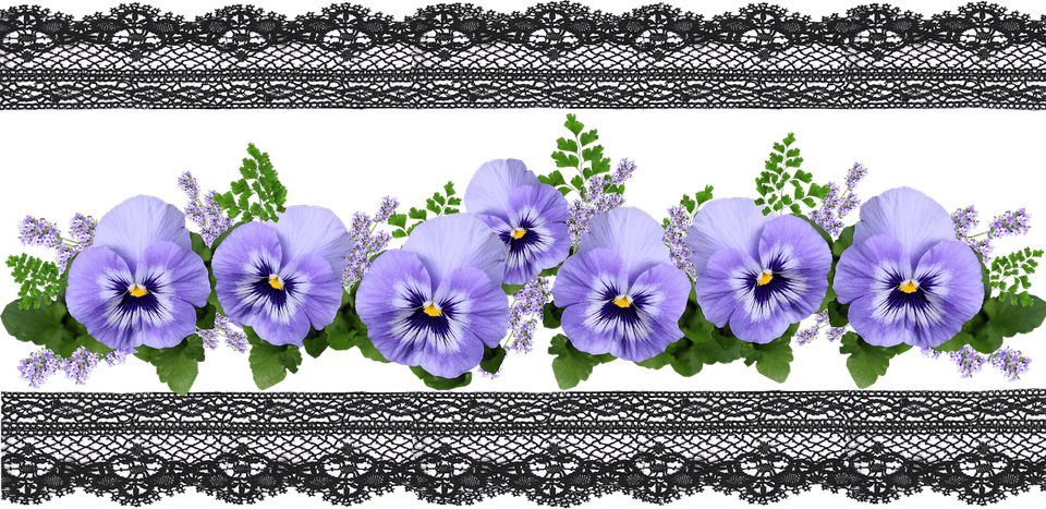 Banner Border Flower PNG