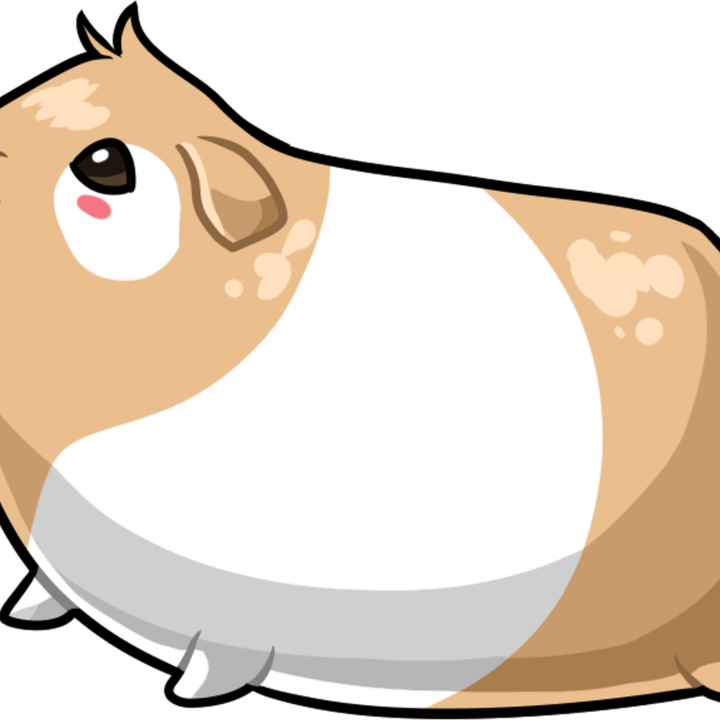 Guinea Pig PNG