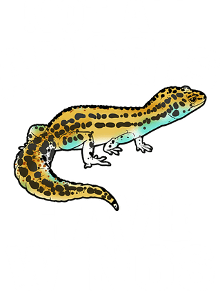 Leopard Lizards PNG