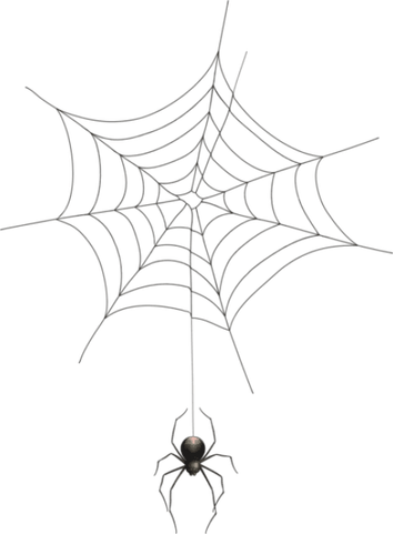 Spider Web PNG