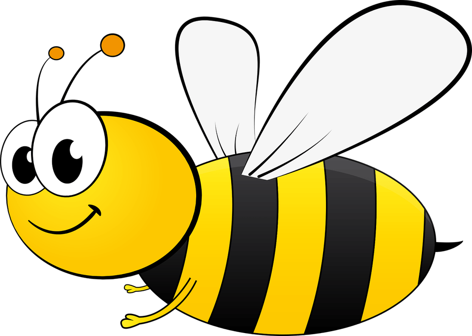 Bee Drawing PNG