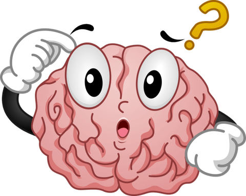 Child Brain PNG